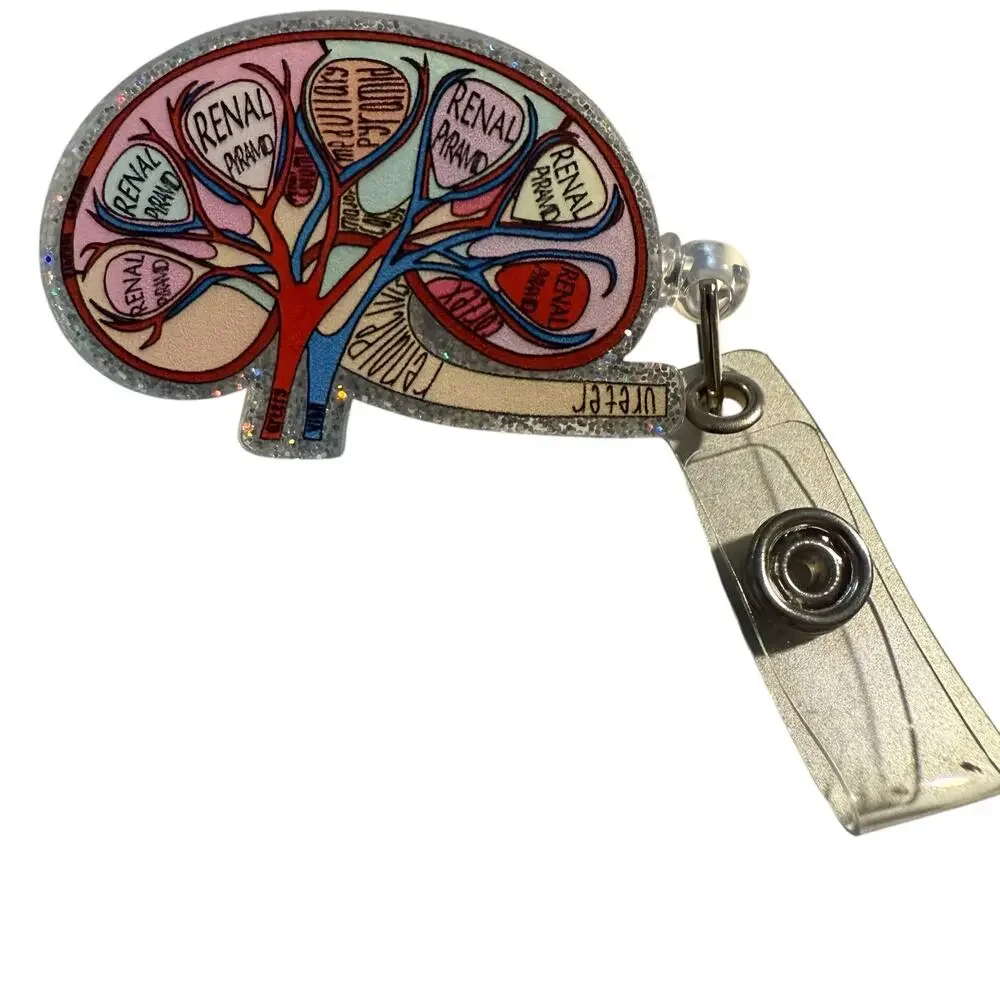 Anatomical Kidney Retractable ID Badge Reel, Endocrine, Nephrology, Renal NWT